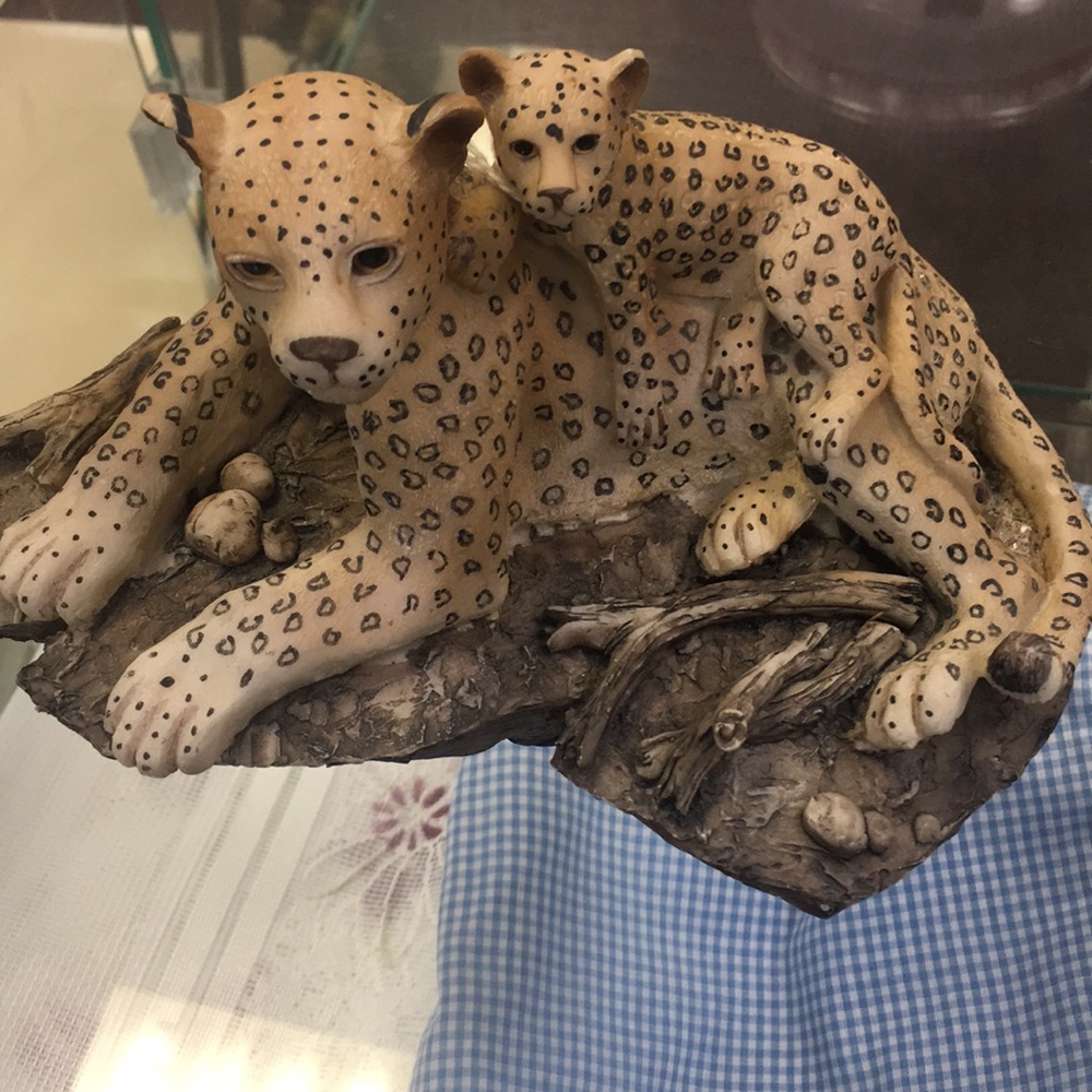 Home Decor